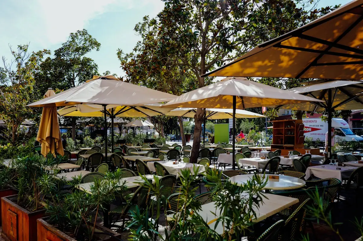 La terraza